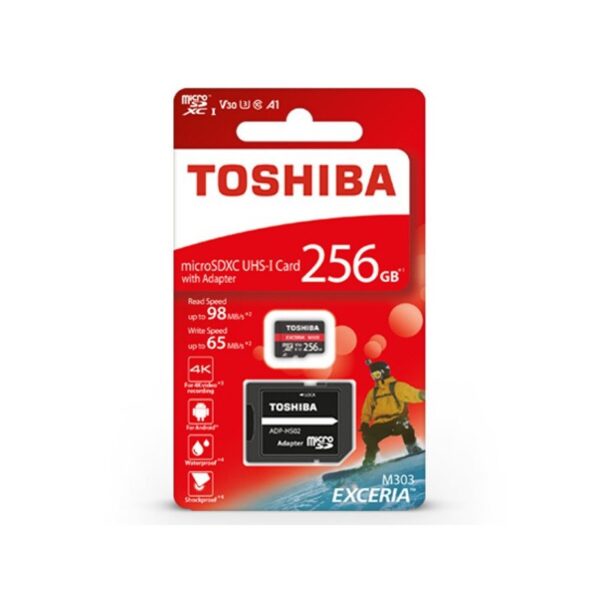 Micro SD 256GB